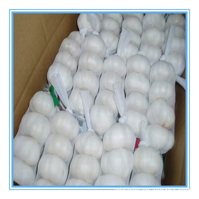 【供應(yīng)2013年優(yōu)質(zhì)出口級(jí)純白大蒜,各種規(guī)格,有自己工廠】?jī)r(jià)格,廠家,圖片,蔥姜蒜類,金鄉(xiāng)縣遠(yuǎn)大偉業(yè)進(jìn)出口貿(mào)易-